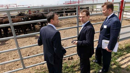 Председатель Правительства Российской Федерации Д.А.Медведев, прибывший с рабочей поездкой в Брянскую область, посетил ферму крупного рогатого скота «Котляково»